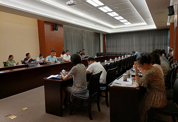 会议效果展示